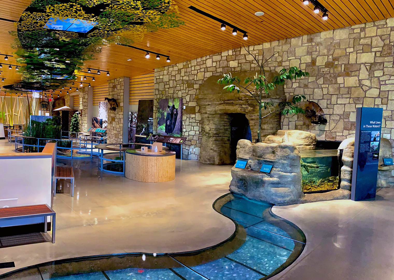 Immersive science center environment.
